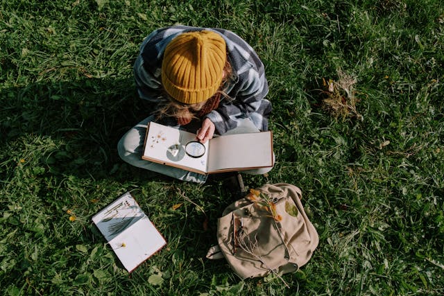 Online Courses for Beginners 