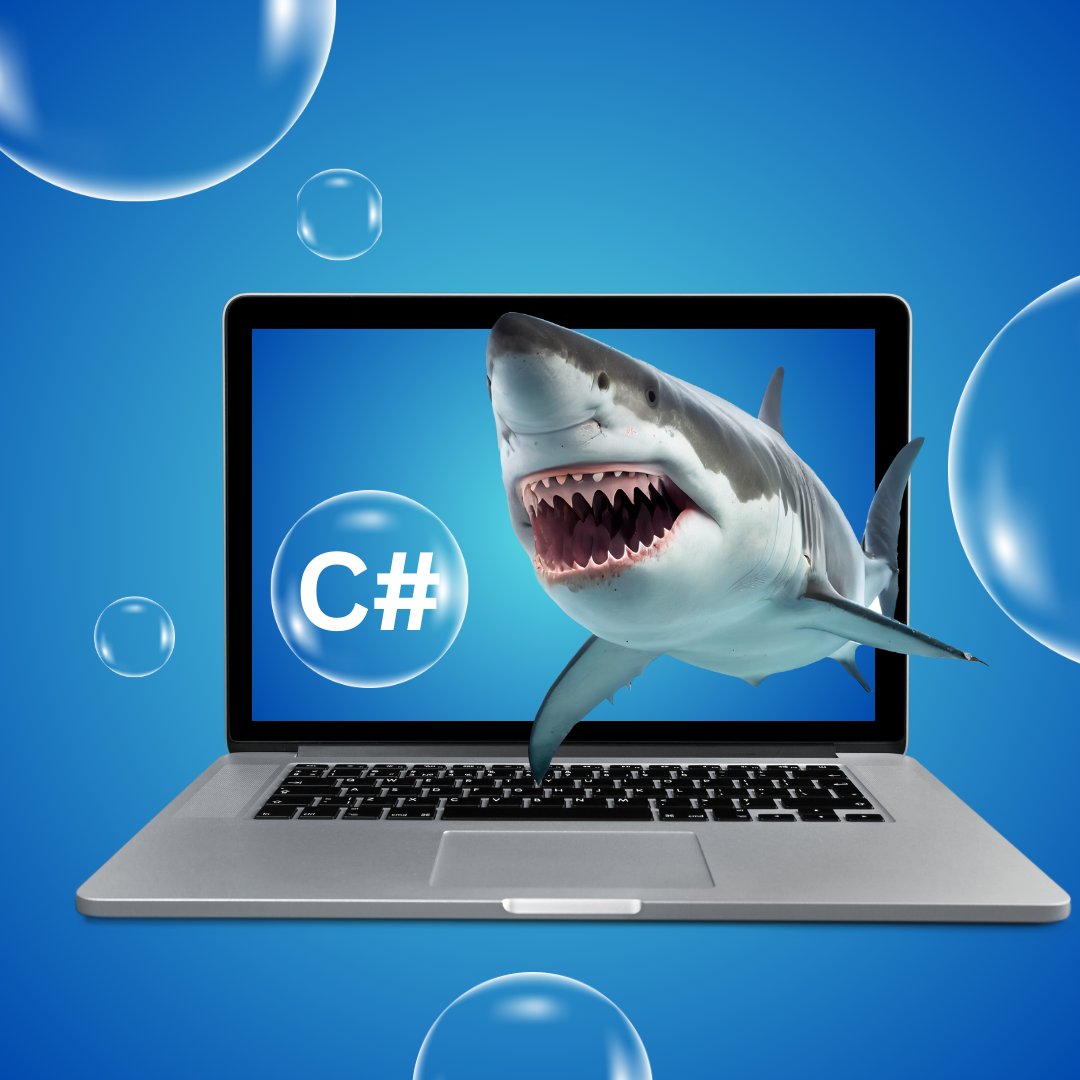 Computer Programming With C# - Part 2