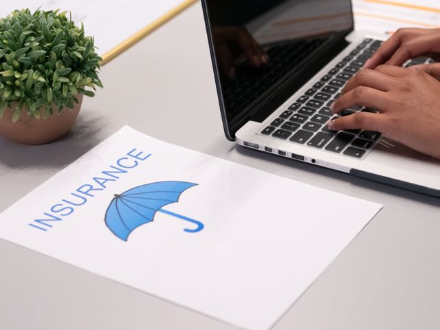 Insurance- Principles and types (Business Services)