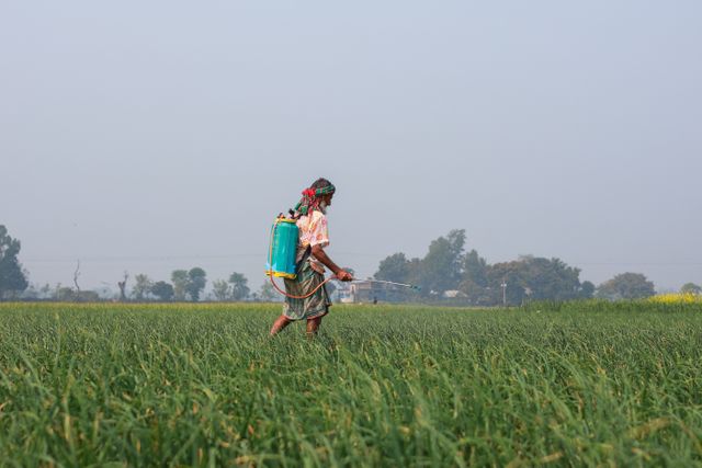 Crop Production and Management - An Overview