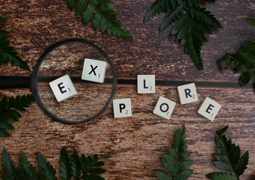 Exploring Meaning, Significance and components