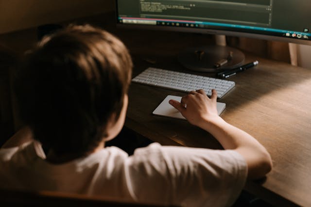 Program Microcontrollers With Drawings - Coding No More