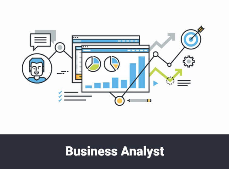 Business Analyst
