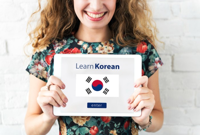 Zero to Hero in Korean Language