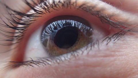 How to Become a Proactive Entrepreneur with your sixth sense