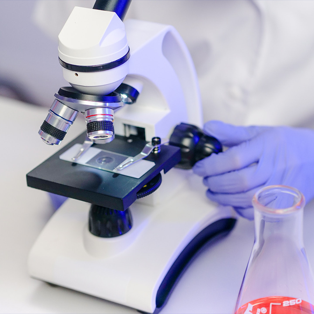 Master In Microbiology