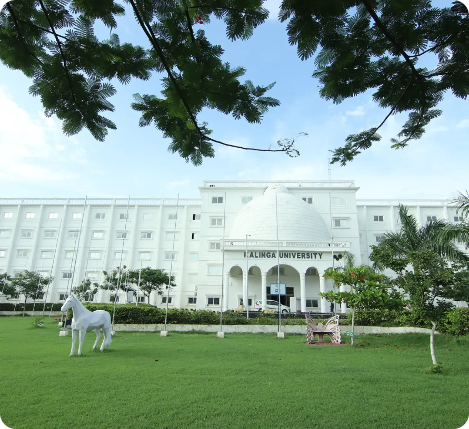 Kalinga University