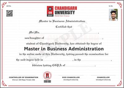 Chandigarh University Sample