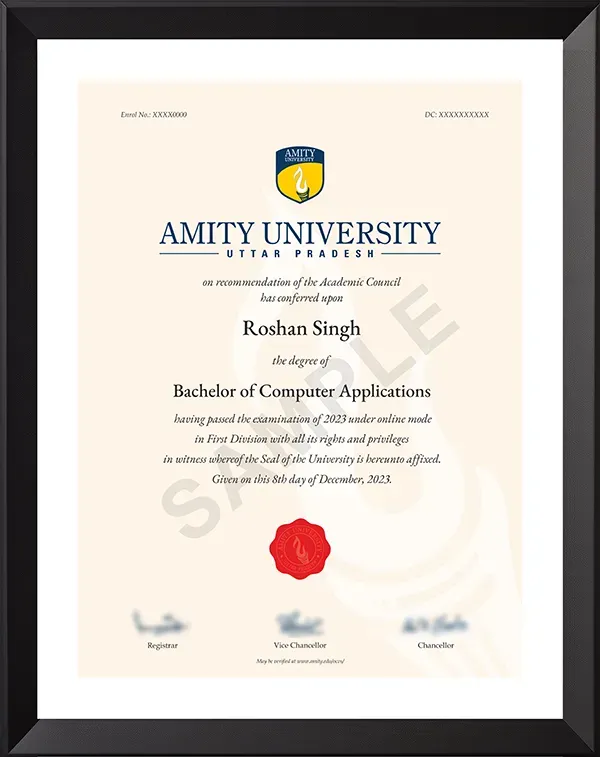 Amity University Sample