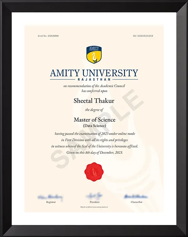 Amity University Sample