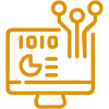 Information Technology (IT)