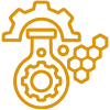 program icon