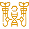 program icon