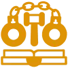 program icon