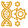 program icon